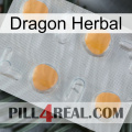 Dragon Herbal 24